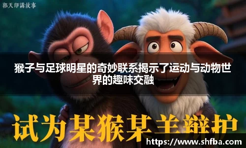 九游体育